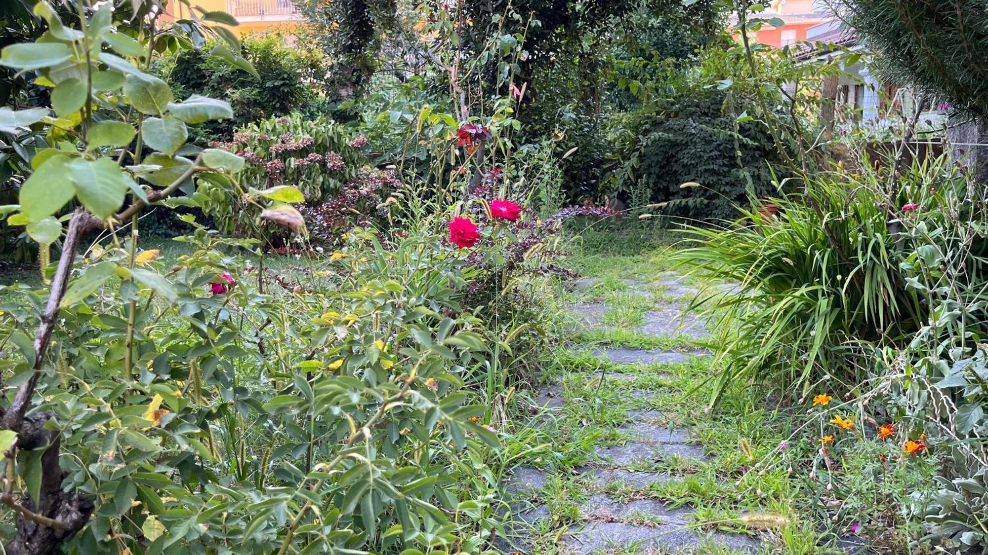 Апартаменти Antica Casa Storica Con Giardino Домодоссола Екстер'єр фото